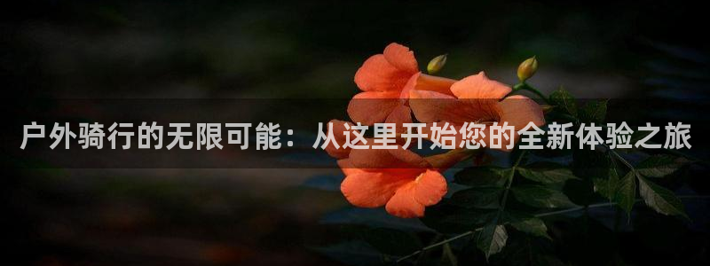先锋娱乐官网
