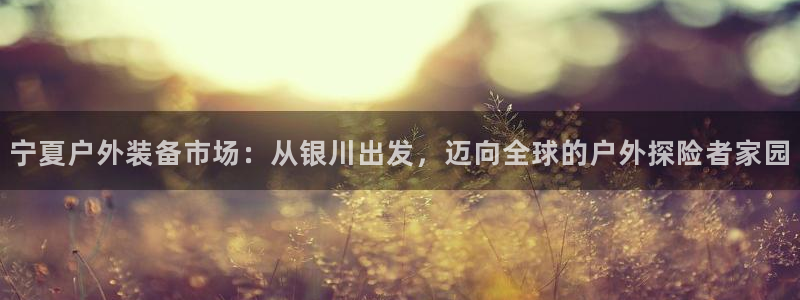 先锋娱乐理财