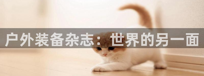 先锋娱乐简介图片