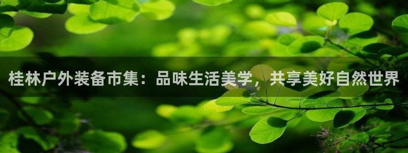 先锋队娱乐
