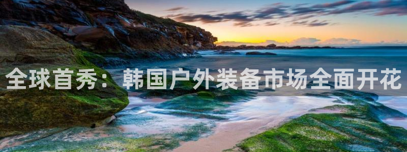 先锋电子车载娱乐系统