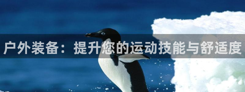 先锋娱乐管理集团
