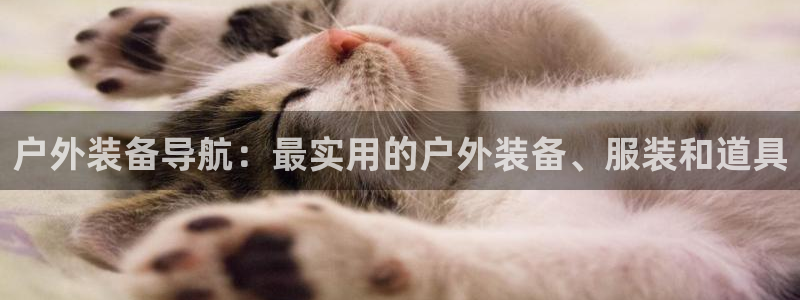 先锋娱乐游戏上分视频