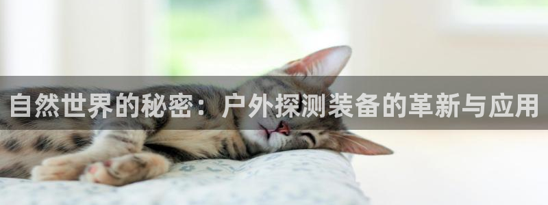 先锋娱乐资讯