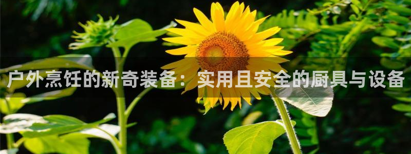 先锋娱乐网