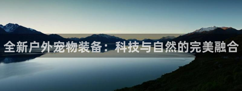 亚洲先锋娱乐行情