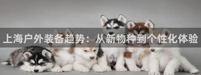 先锋银河娱乐