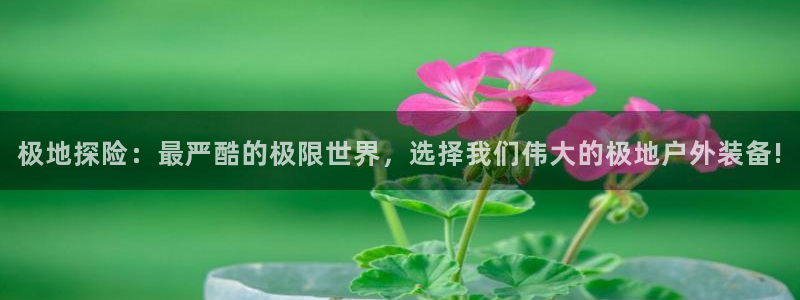 威斯汀娱乐先锋