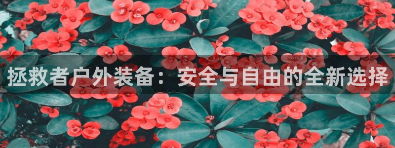 先锋娱乐网67xf