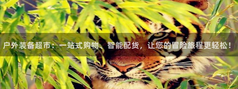 先锋娱乐集团
