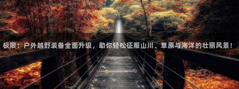 先锋娱乐手机