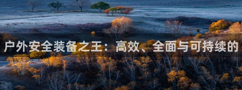 先锋娱乐简介图片