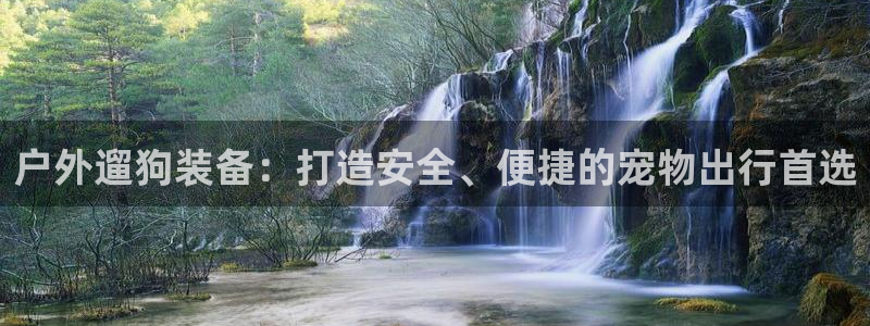 先锋娱乐币