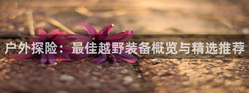 先锋娱乐官方