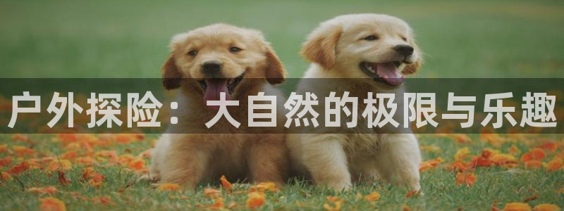 先锋娱乐大厅透视