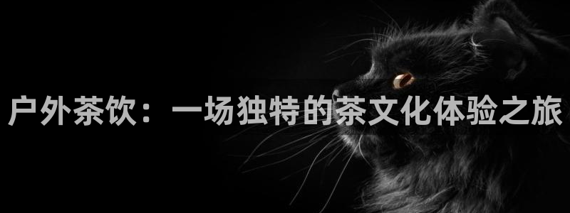 先锋娱乐大厅首页