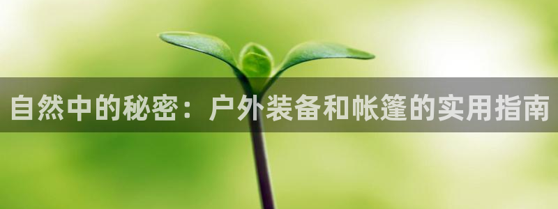 先锋娱乐大厅牛牛