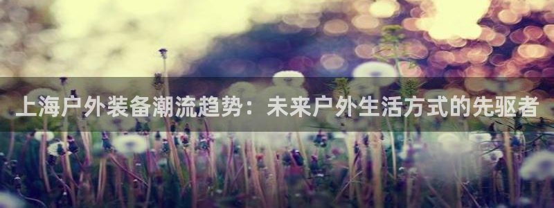 先锋支付娱乐城