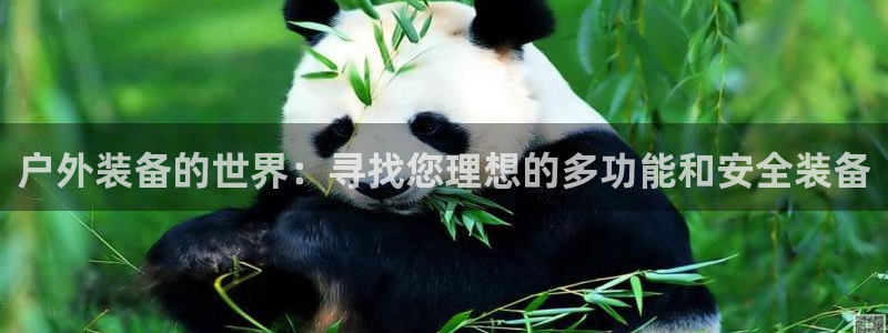 先锋娱乐大厅牛牛