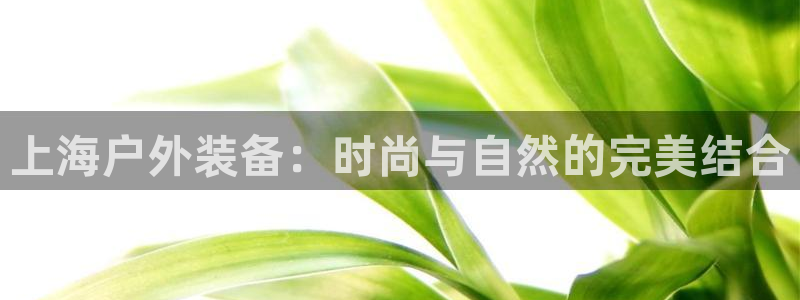 先锋娱乐入口