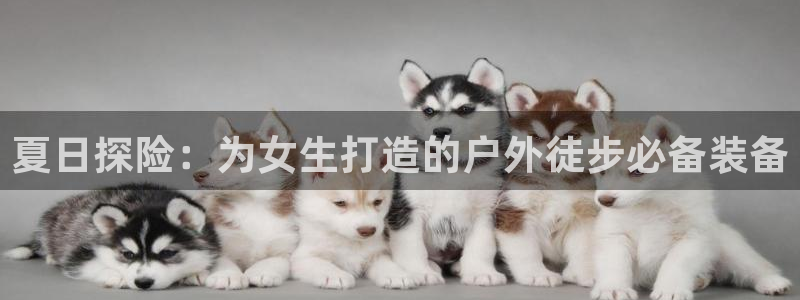 大连先锋娱乐