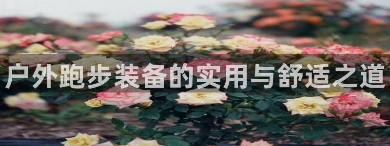 先锋娱乐链接