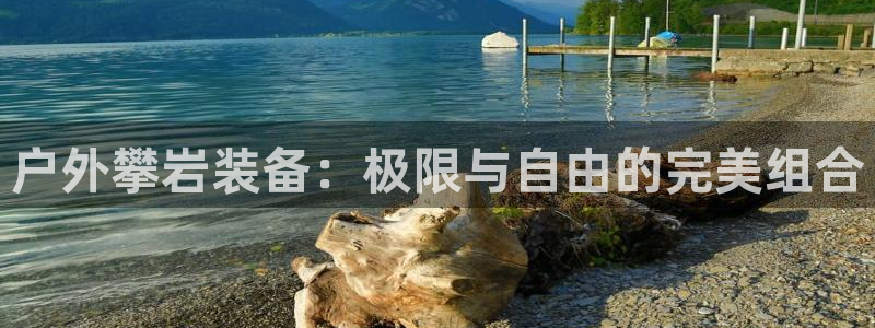 先锋电子旗下先锋娱乐