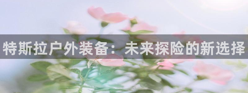 先锋娱乐电子游戏