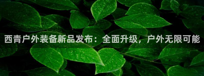 先锋娱乐游戏上分