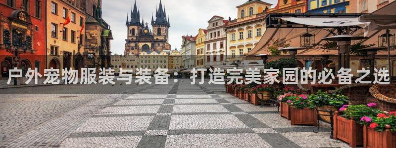 先锋娱乐上分