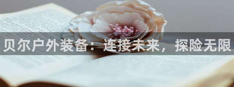 先锋岛娱乐