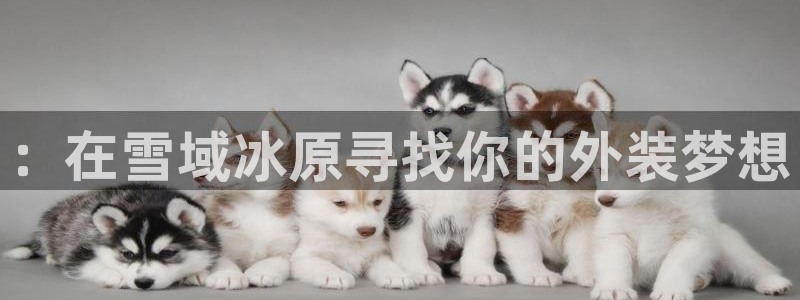 先锋娱乐邀请码多少