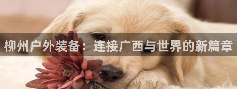 先锋队娱乐