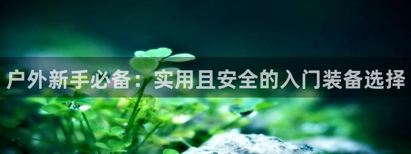 先锋国际娱乐
