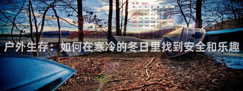 娱乐急先锋全集下载