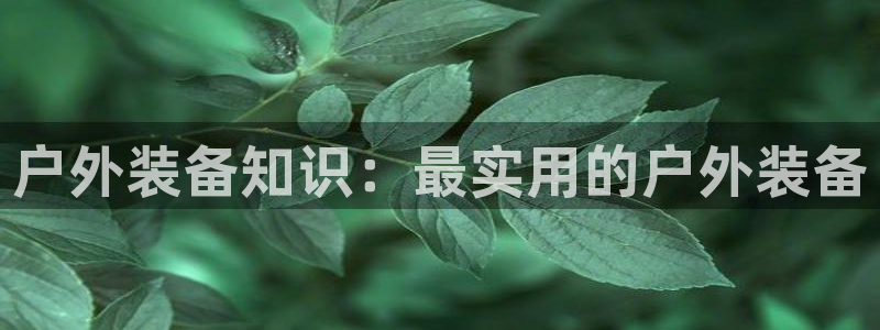 先锋娱乐垫付金额