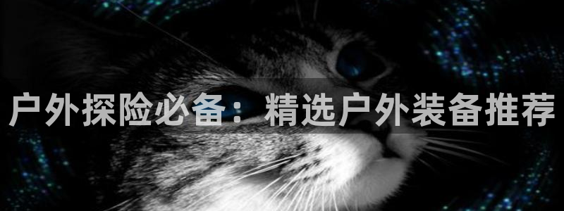 先锋电子车载娱乐系统