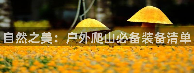 先锋娱乐大厅平台