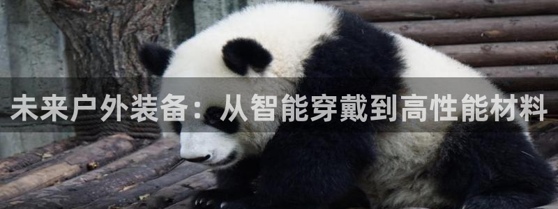 亚洲先锋娱乐跌