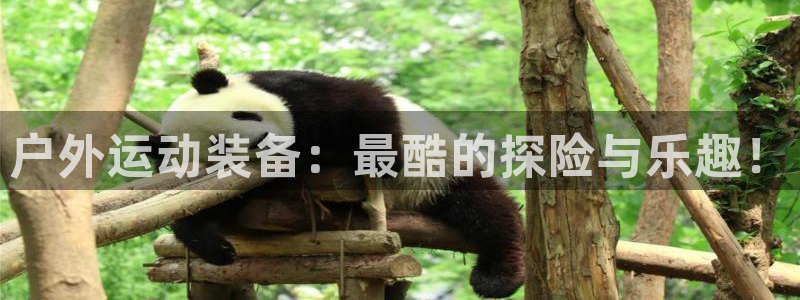 先锋娱乐简介图片