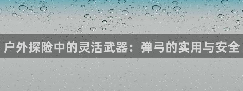 娱乐急先锋全集下载