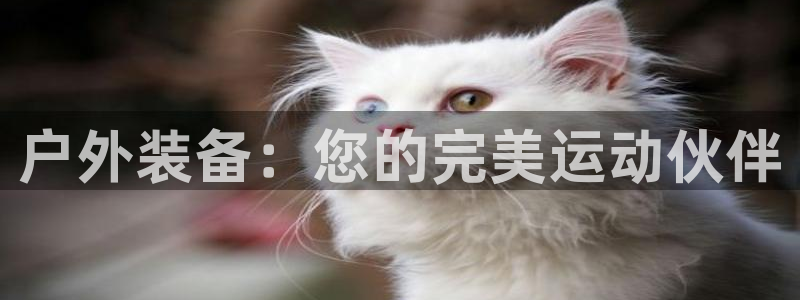 先锋娱乐游戏上分地址