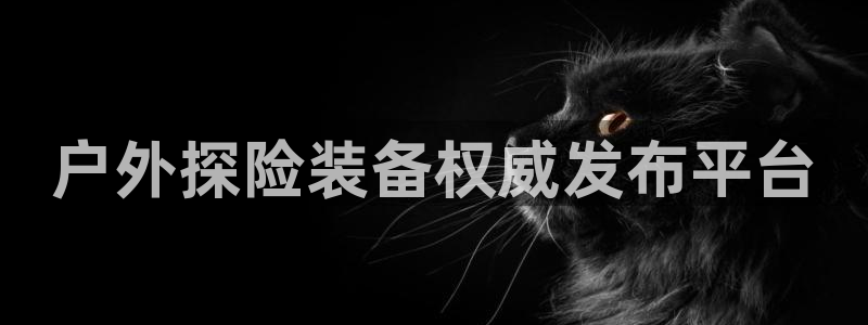 先锋娱乐游戏上分地址